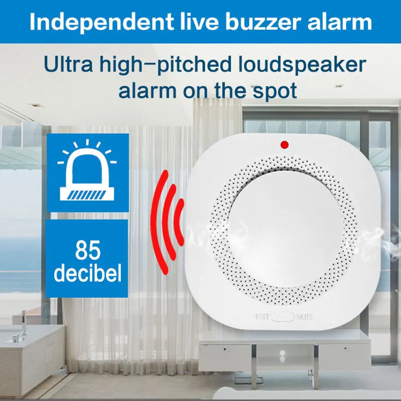 Independent Smoke Detector